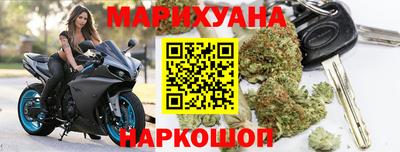 шишки Новодвинск