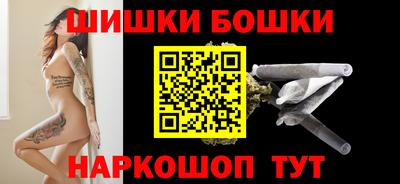 шишки Новодвинск