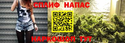шишки Новодвинск