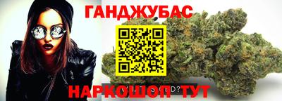 шишки Новодвинск