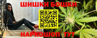 шишки Новодвинск