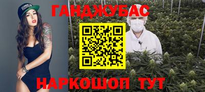 шишки Новодвинск