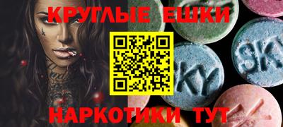 шишки Новодвинск