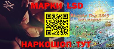 шишки Новодвинск