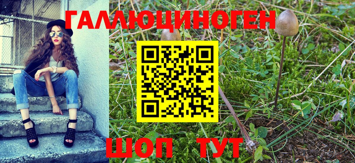 Псилоцибиновые грибы Psilocybine cubensis  наркота  Стрежевой  Вход с VPN 